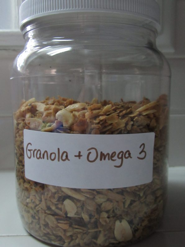 IMG_0736-595x446 Granola + Omega 3